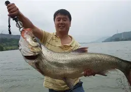 海钓歌曲四海钓鱼(海钓歌曲四海钓鱼歌词) 海钓歌曲四海钓鱼(海钓歌曲四海钓鱼歌词)
