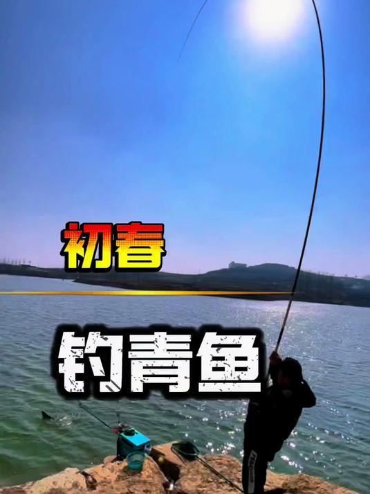 初夏水库钓青鱼的技巧(水库钓青鱼必须掌握的六个技巧) 初夏水库钓青鱼的技巧(水库钓青鱼必须掌握的六个技巧)