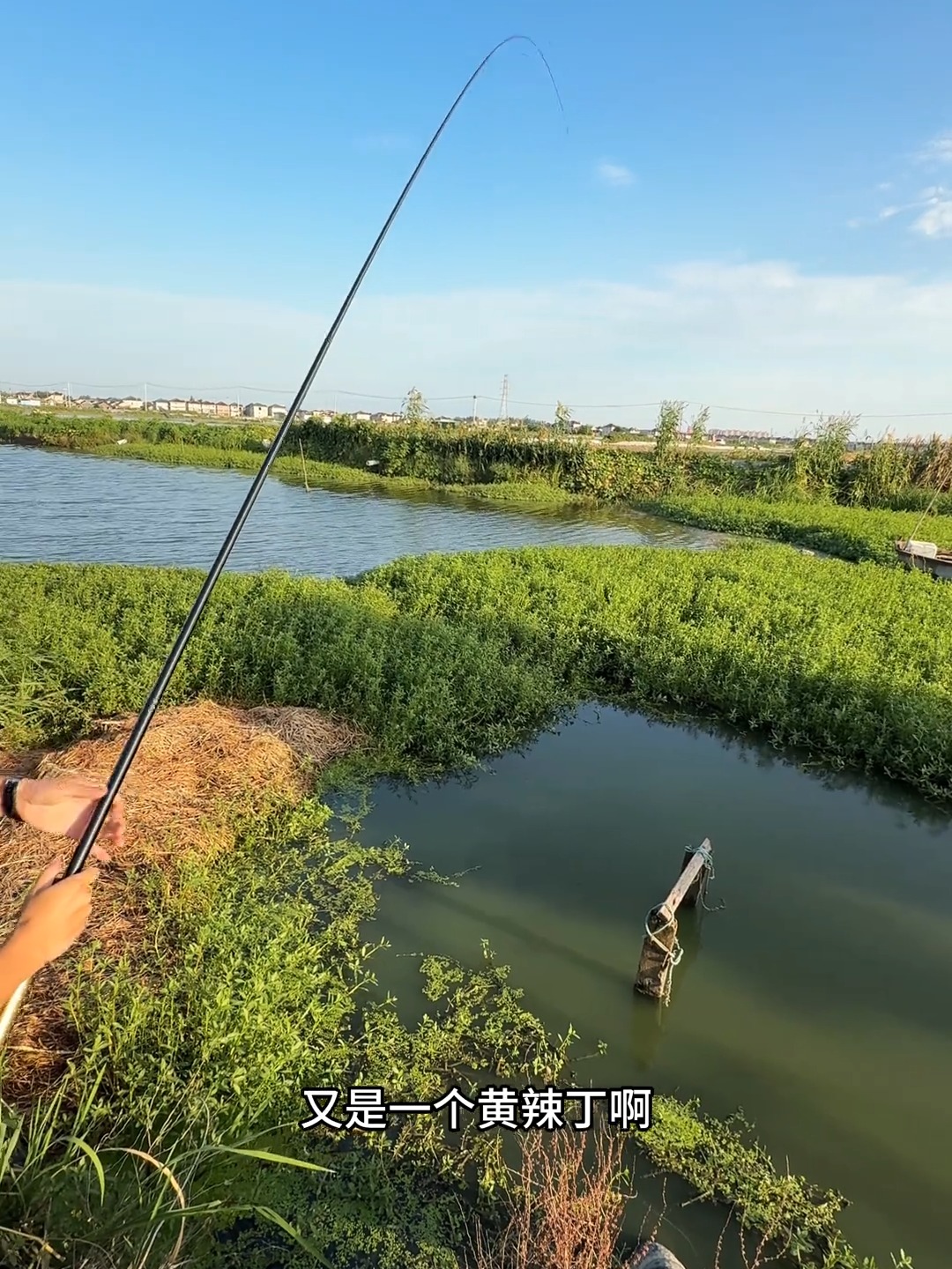 大河钓鱼有什么技巧(大河垂钓技巧) 大河钓鱼有什么技巧(大河垂钓技巧)