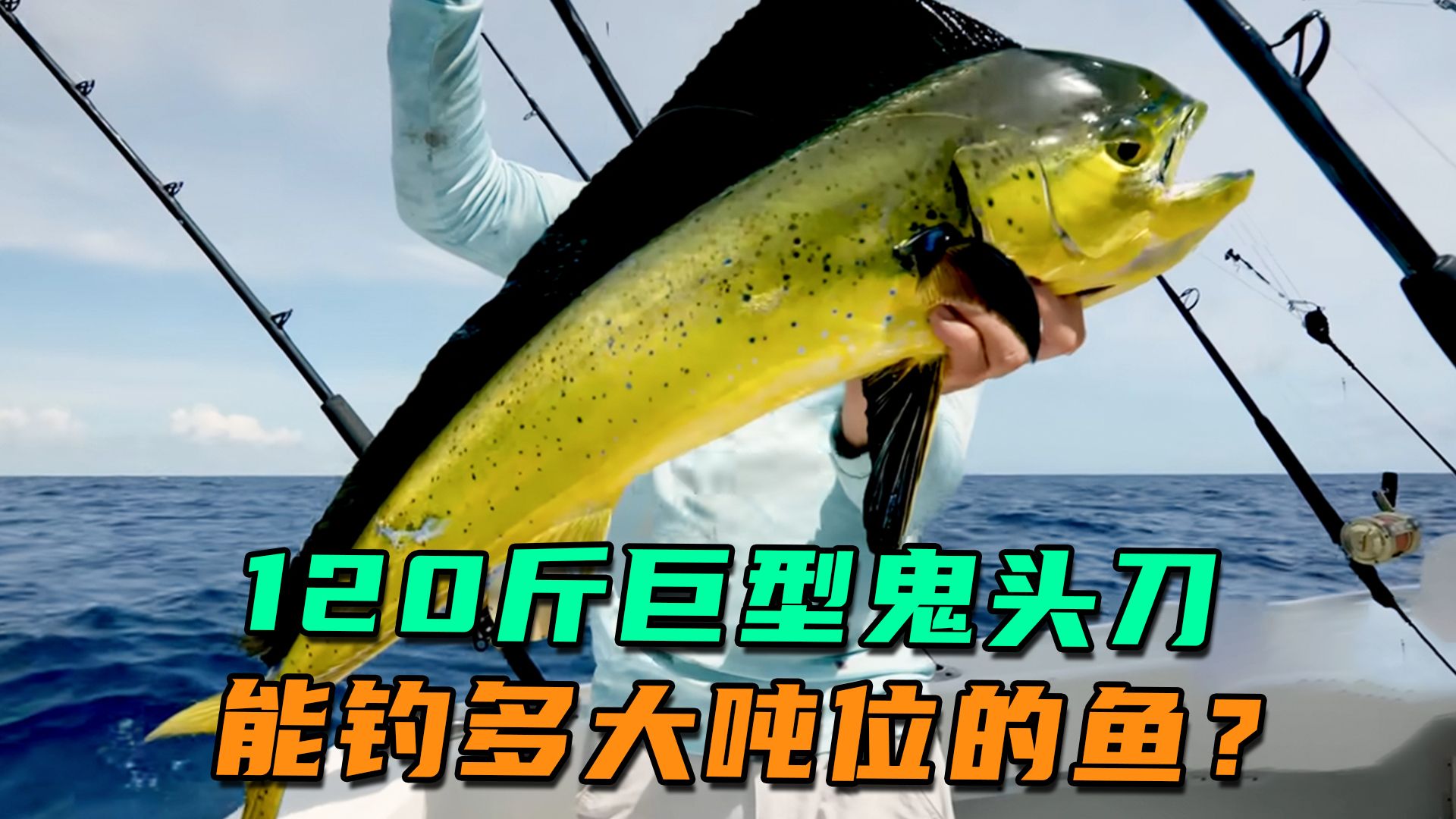 大连海钓鬼头刀(钓鬼头刀鱼) 大连海钓鬼头刀(钓鬼头刀鱼)