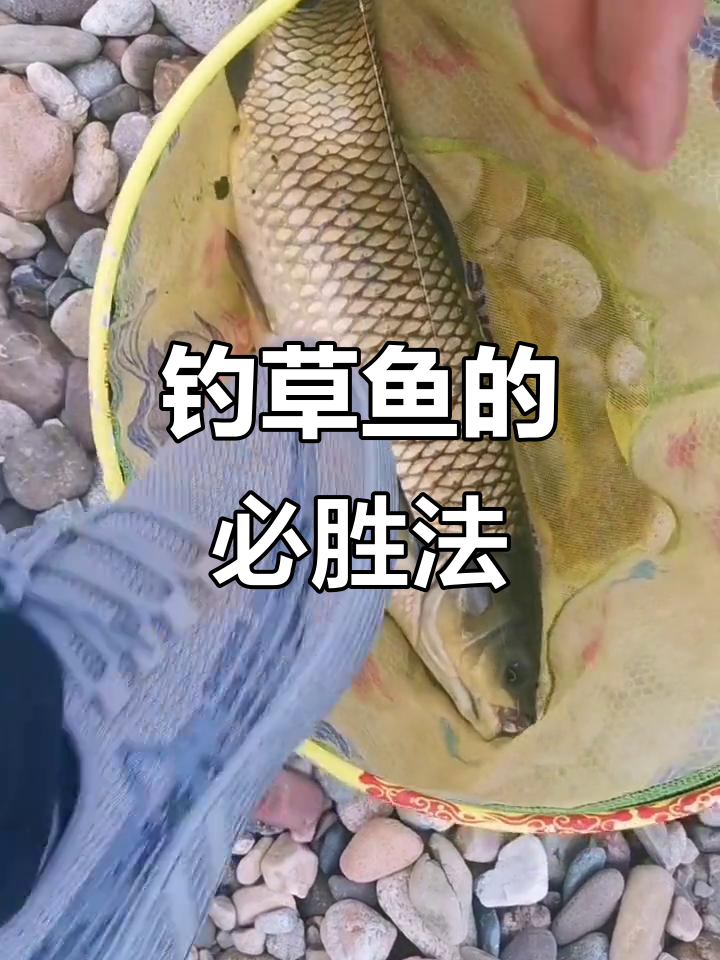 冰钓钓草鱼技巧(冰钓能钓到什么鱼) 冰钓钓草鱼技巧(冰钓能钓到什么鱼)