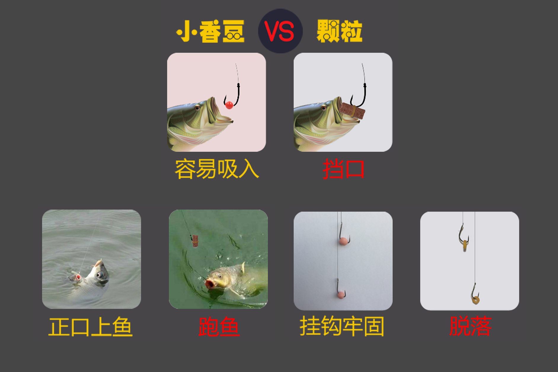 黑坑钓鲫鱼糗鱼技巧(黑坑鲫鱼窝料饵料最佳配法) 黑坑钓鲫鱼糗鱼技巧(黑坑鲫鱼窝料饵料最佳配法)