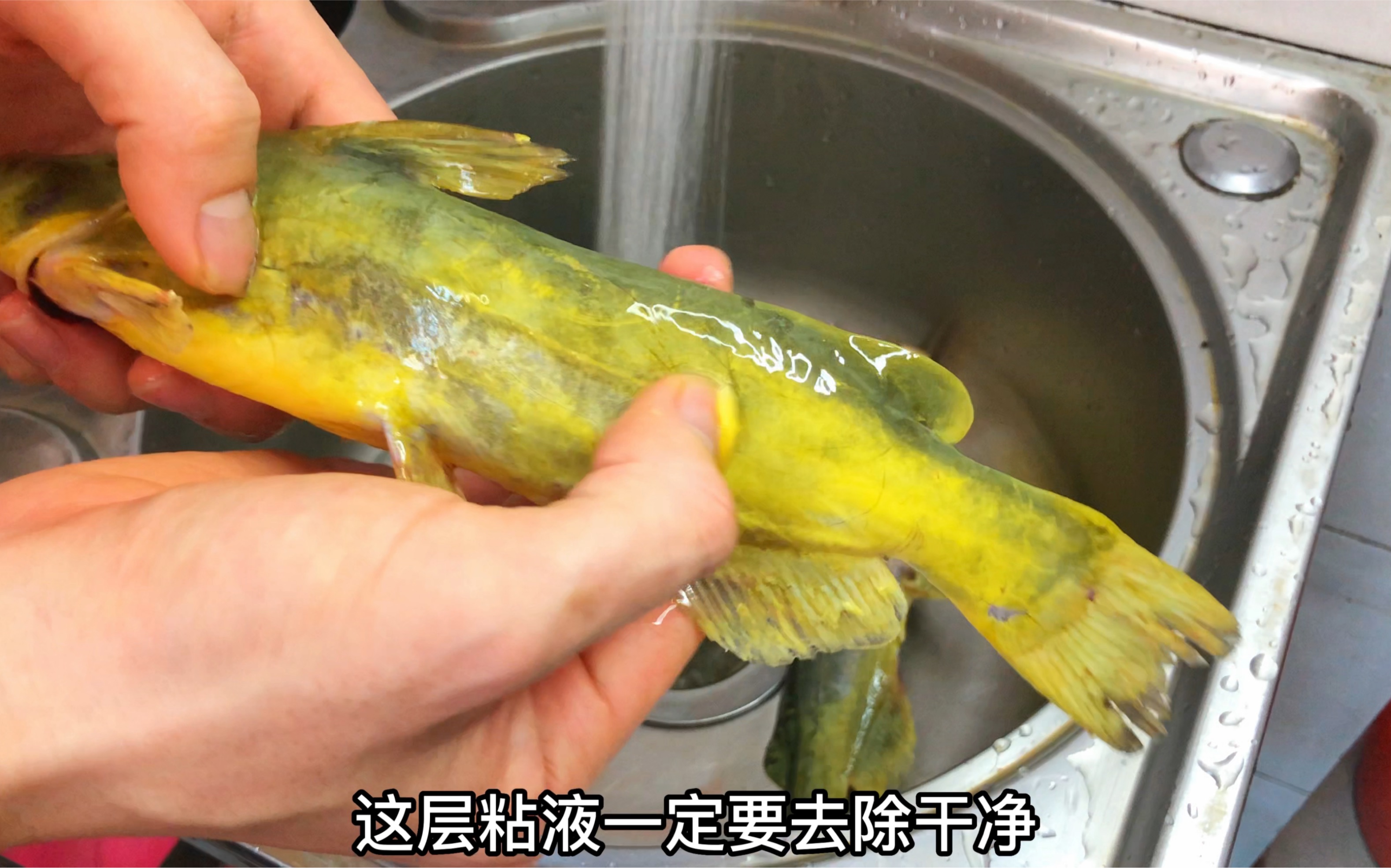 黄蜂鱼路亚(路亚胡须佬针对什么鱼种) 黄蜂鱼路亚(路亚胡须佬针对什么鱼种)