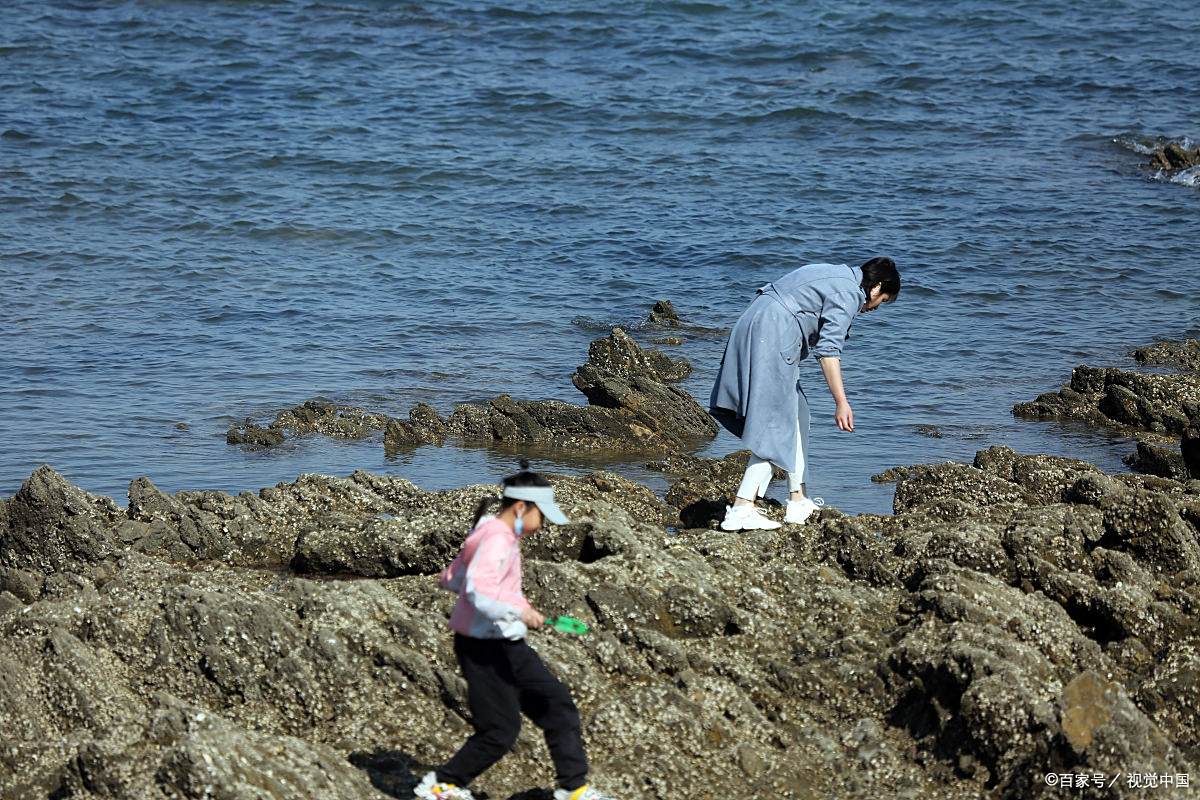 海钓礁石地(海钓礁石区钓底) 海钓礁石地(海钓礁石区钓底)