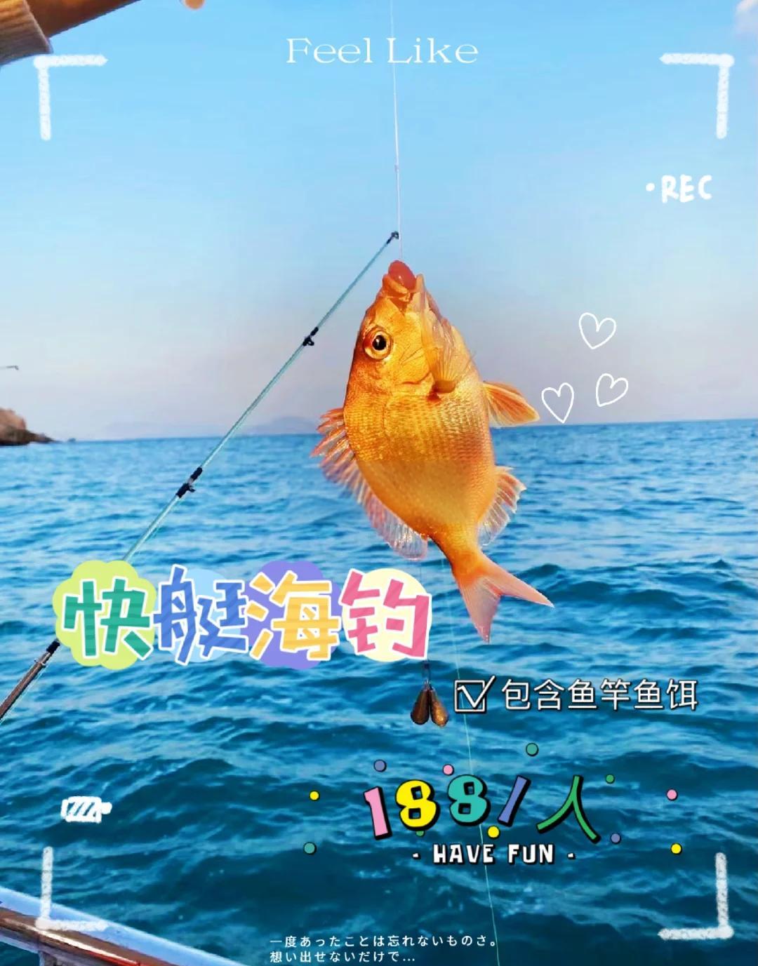 南油海钓技巧(海钓南油是什么意思) 南油海钓技巧(海钓南油是什么意思)