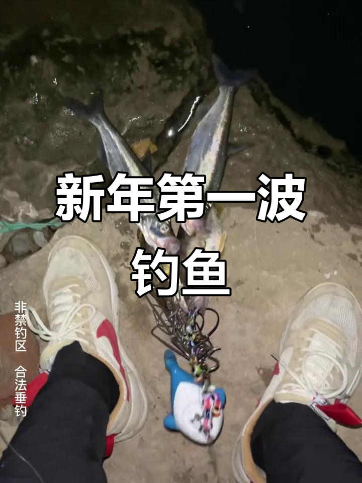 路亚钓收获(路亚钓鱼经验) 路亚钓收获(路亚钓鱼经验)