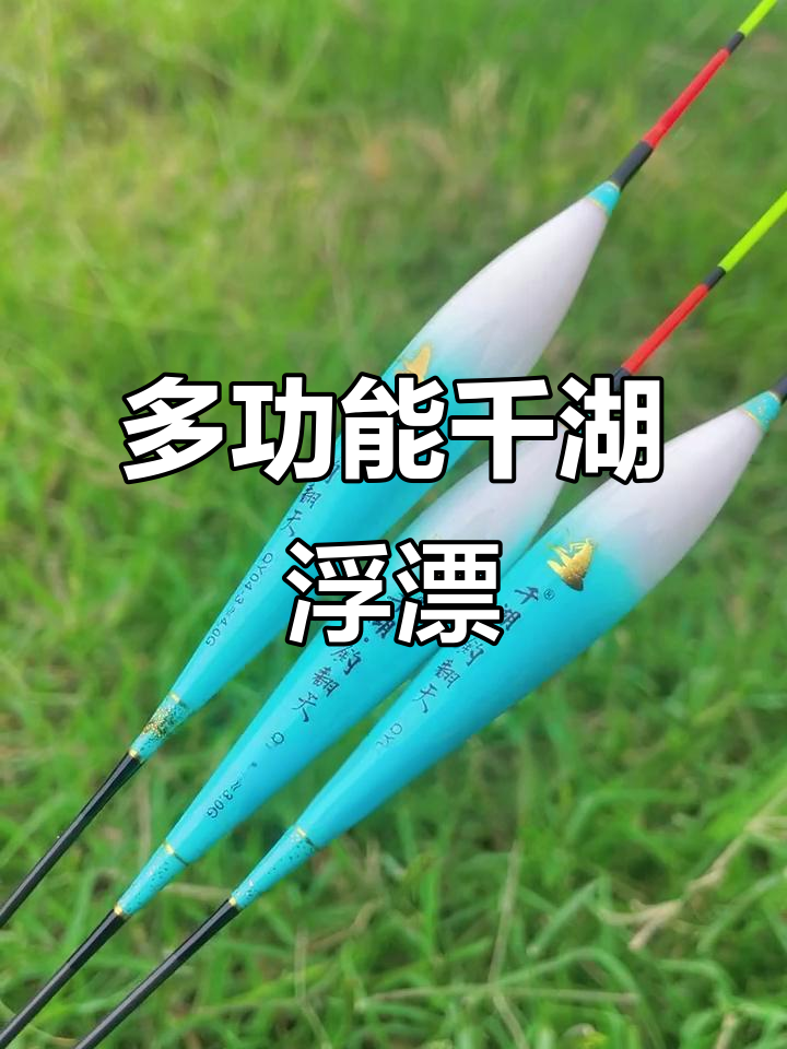 千川浮漂竞技巧手(最灵敏的浮漂排名) 千川浮漂竞技巧手(最灵敏的浮漂排名)
