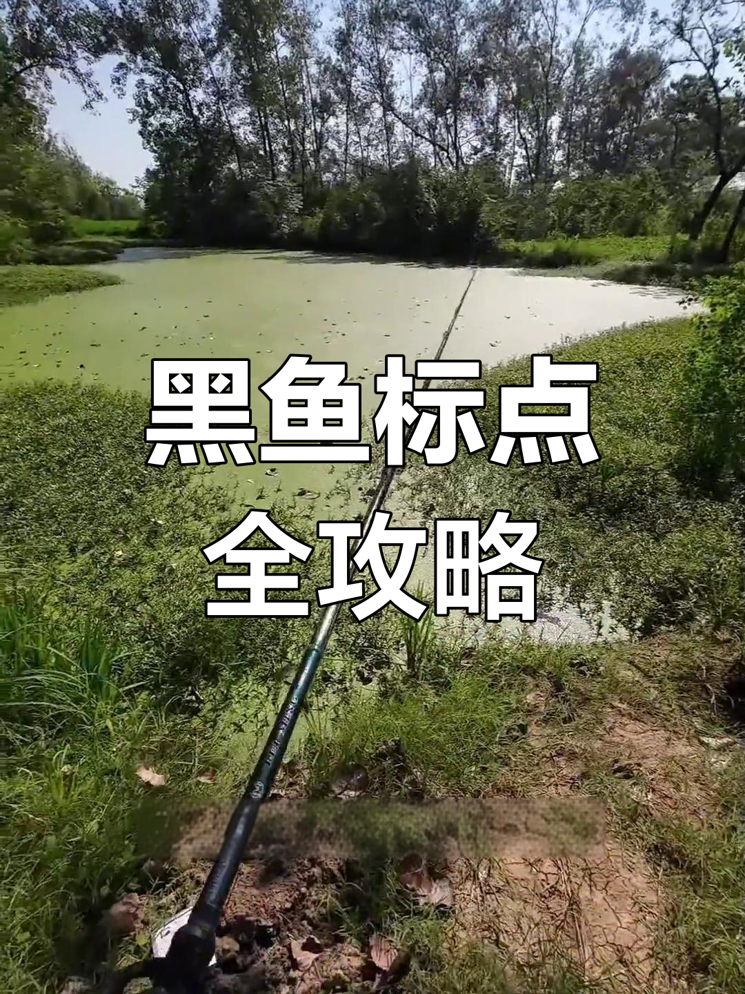 雷强打黑入门技巧(雷强推荐) 雷强打黑入门技巧(雷强推荐)