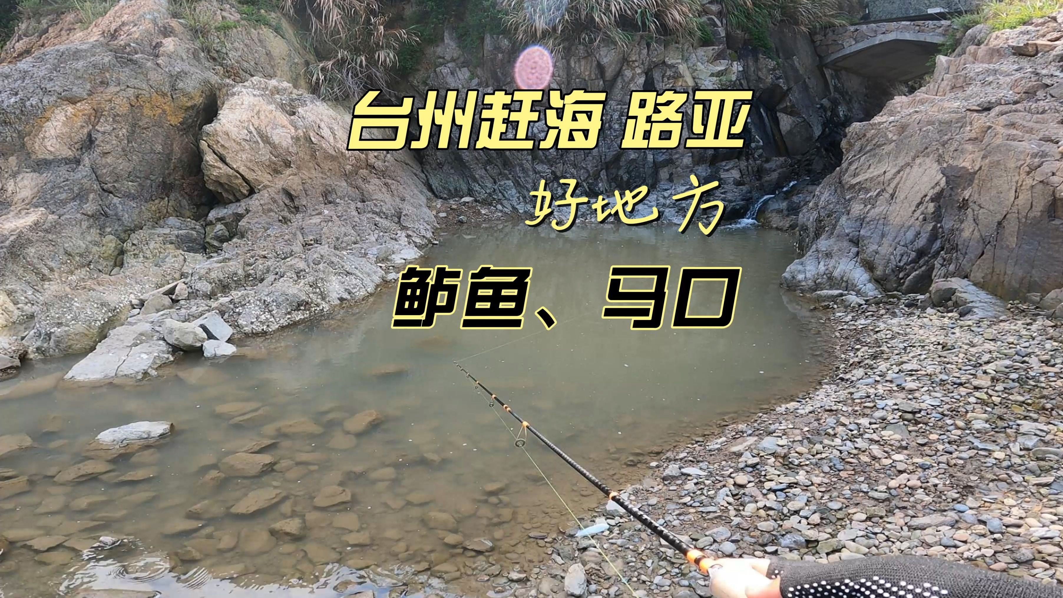 台州海钓多少钱(台州海钓最好的地方) 台州海钓多少钱(台州海钓最好的地方)