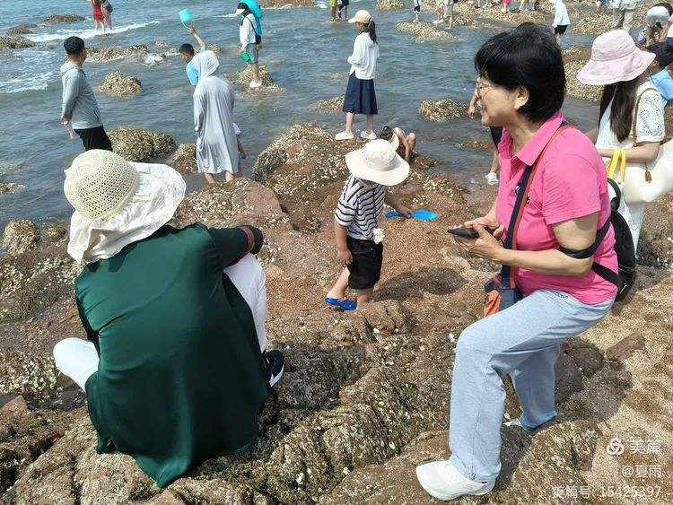 青岛栈桥可以海钓吗(青岛栈桥可以看海上日出吗) 青岛栈桥可以海钓吗(青岛栈桥可以看海上日出吗)