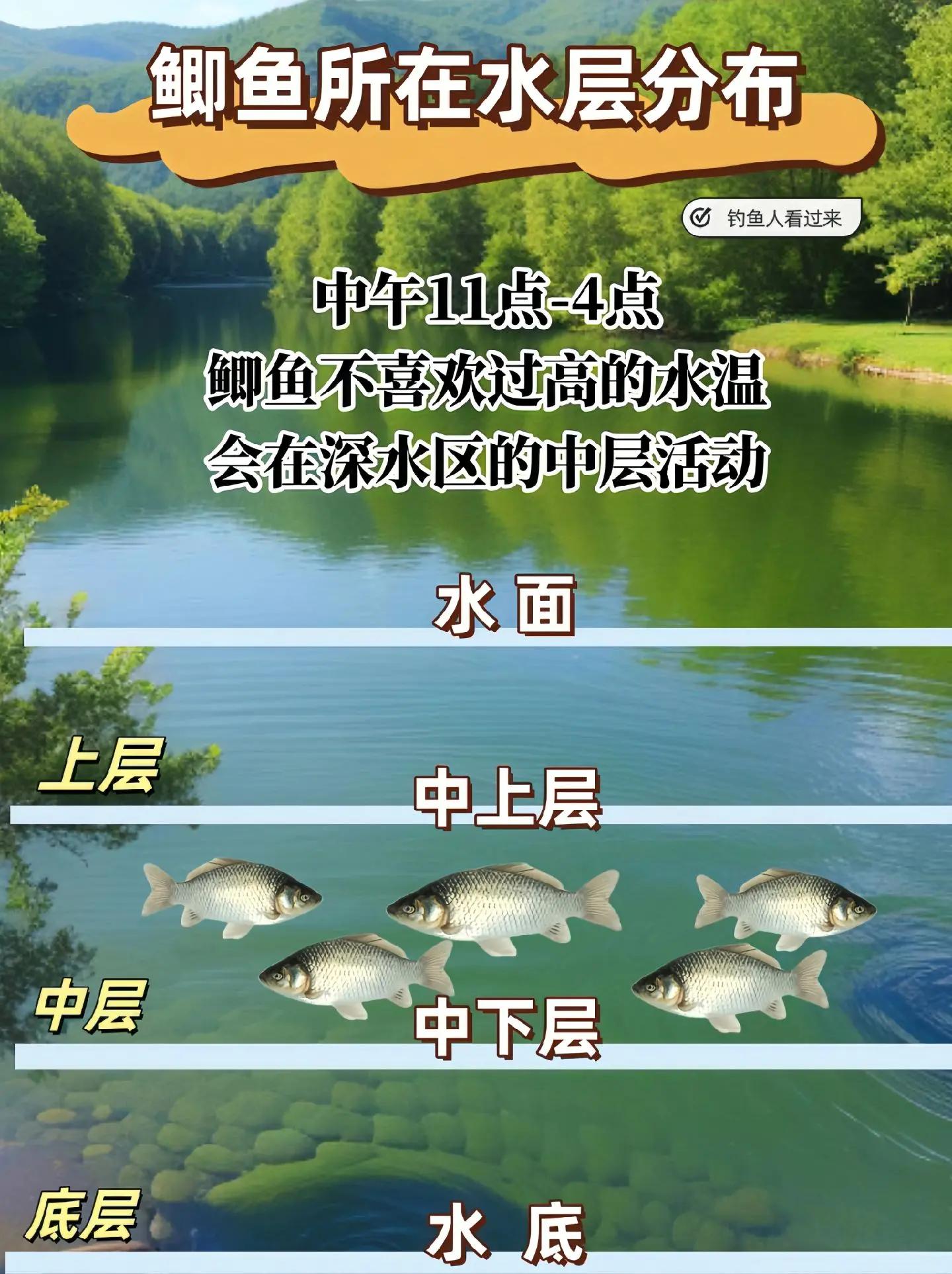 野河流水钓鲫鱼技巧(野河水流大怎么钓鱼) 野河流水钓鲫鱼技巧(野河水流大怎么钓鱼)