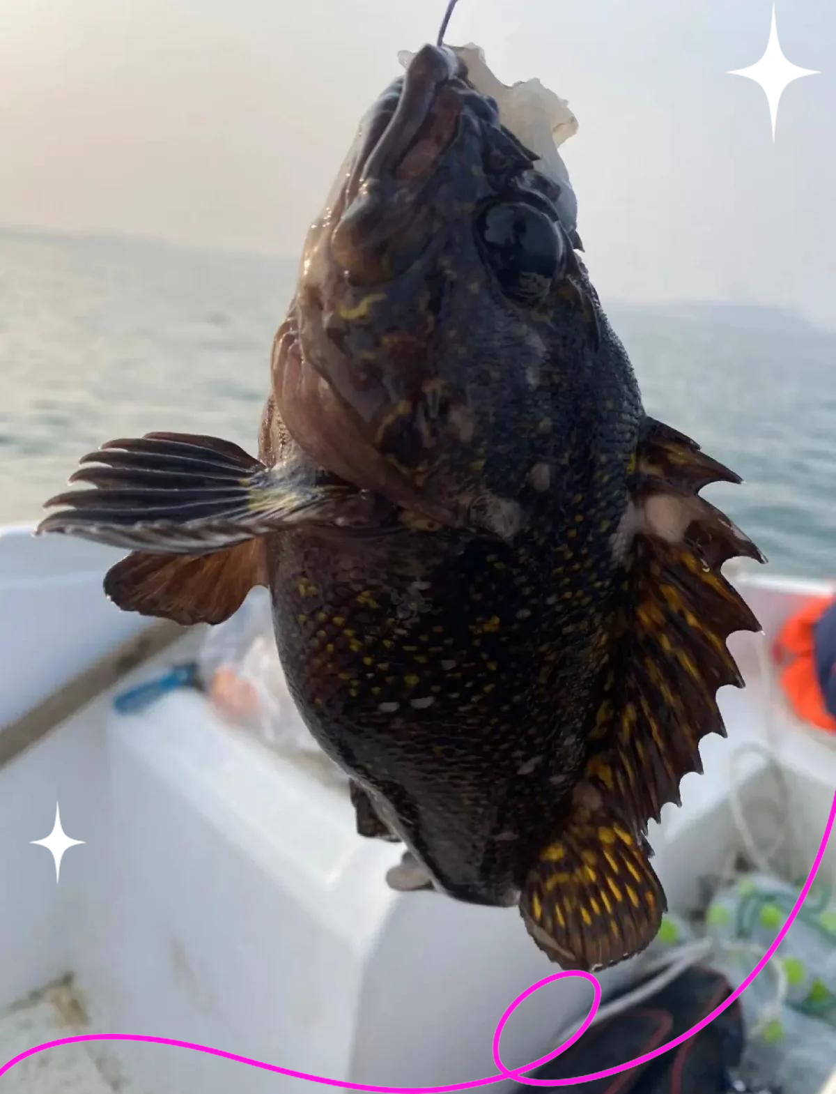 来威海钓鱼(威海钓鱼竿批发市场) 来威海钓鱼(威海钓鱼竿批发市场)