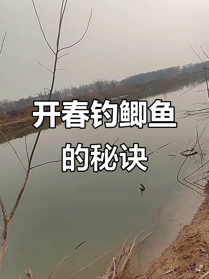 台钓技巧春天选位置(春天台钓和传统钓哪个好) 台钓技巧春天选位置(春天台钓和传统钓哪个好)