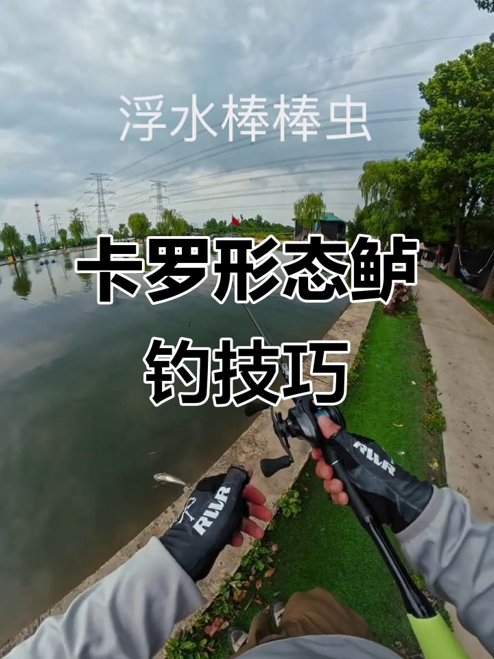鲈钓技巧(鲈鱼鱼怎么钓) 鲈钓技巧(鲈鱼鱼怎么钓)