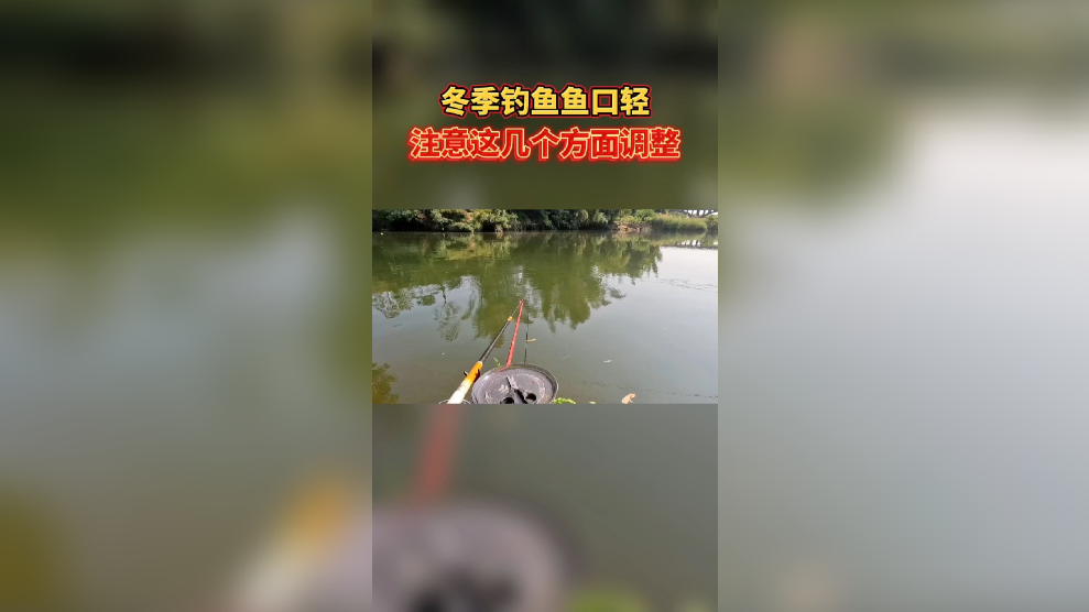 冬季鱼塘钓鱼技巧(冬天鱼塘的鱼怎么钓) 冬季鱼塘钓鱼技巧(冬天鱼塘的鱼怎么钓)