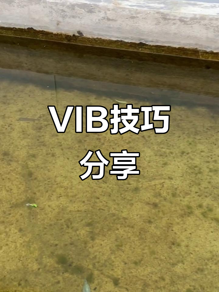 vib的使用技巧(vib操作手法视频) vib的使用技巧(vib操作手法视频)