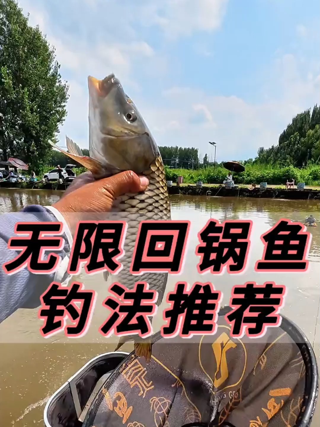 回锅鲤鱼吃钩技巧(钓回锅鲤鱼线组怎么搭配) 回锅鲤鱼吃钩技巧(钓回锅鲤鱼线组怎么搭配)