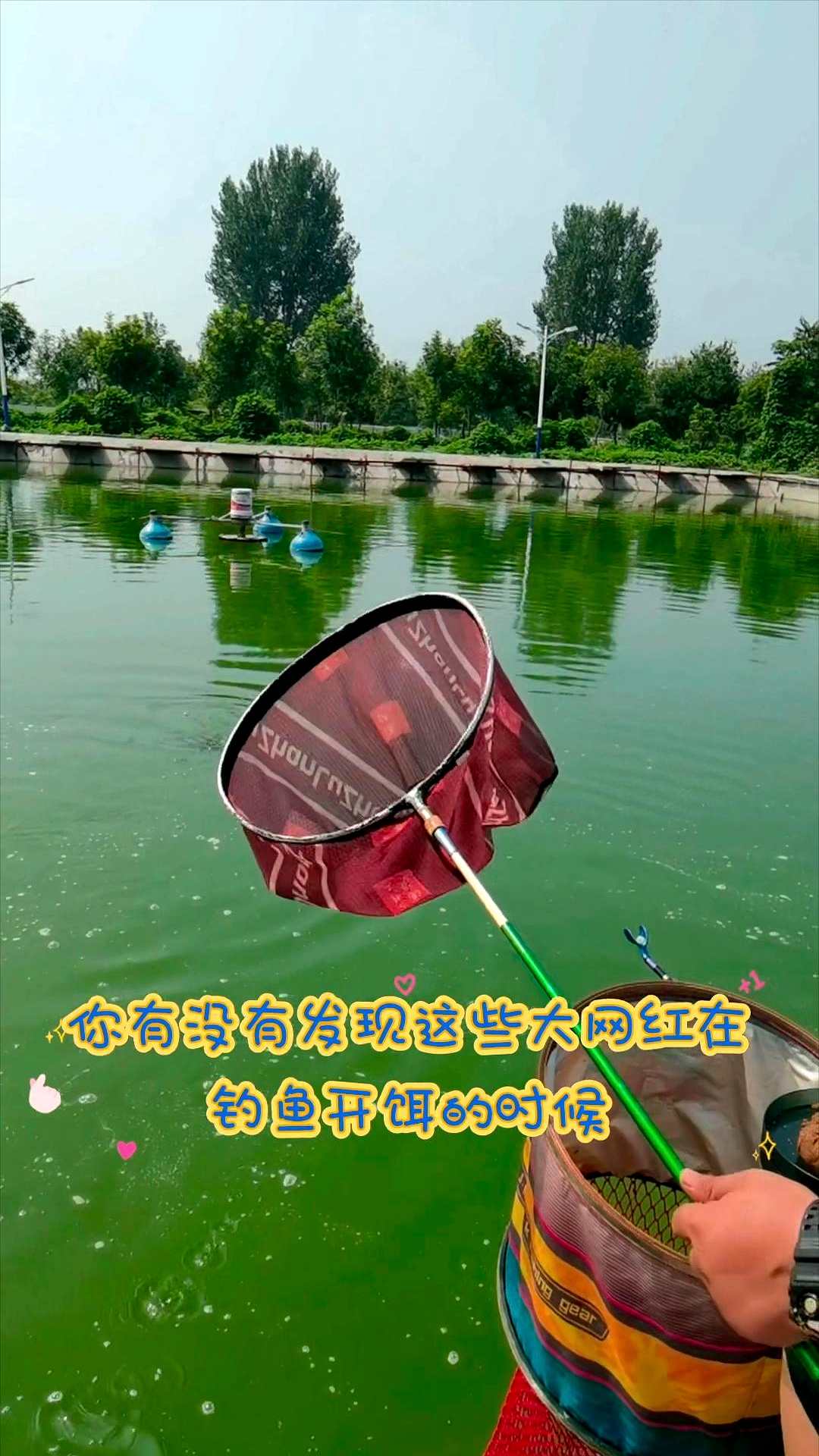 夏天野坑钓鲤鱼技巧的简单介绍