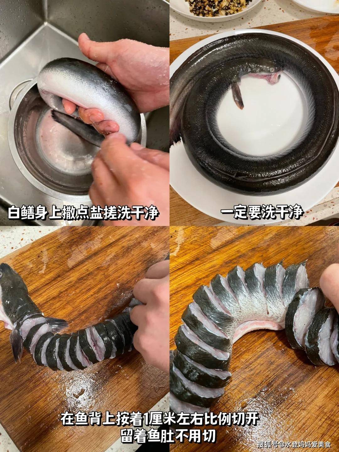 白鳝用什么饵料(白鳝用什么钓好一点?) 白鳝用什么饵料(白鳝用什么钓好一点?)