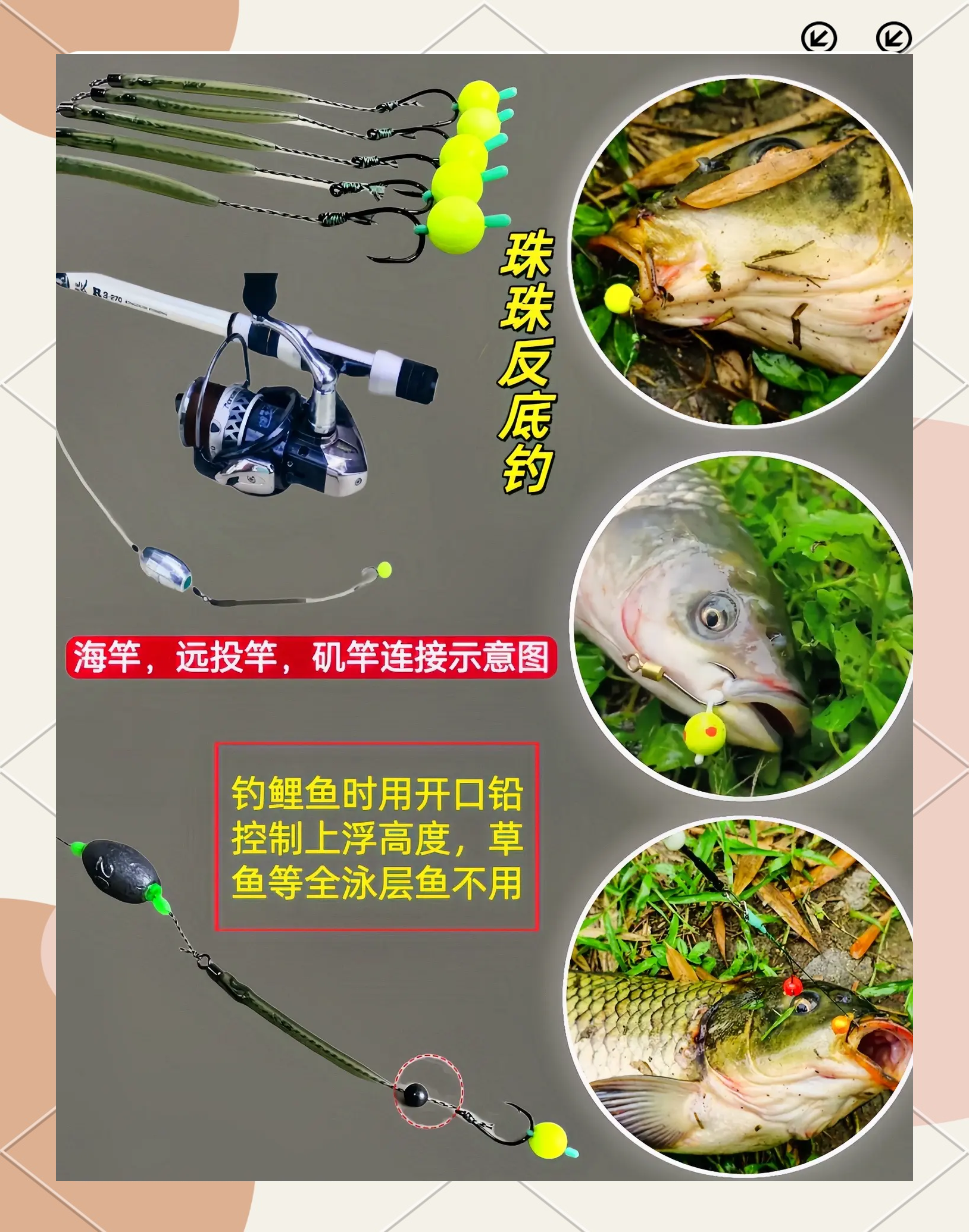 偷钓技巧(偷钓最好方法) 偷钓技巧(偷钓最好方法)