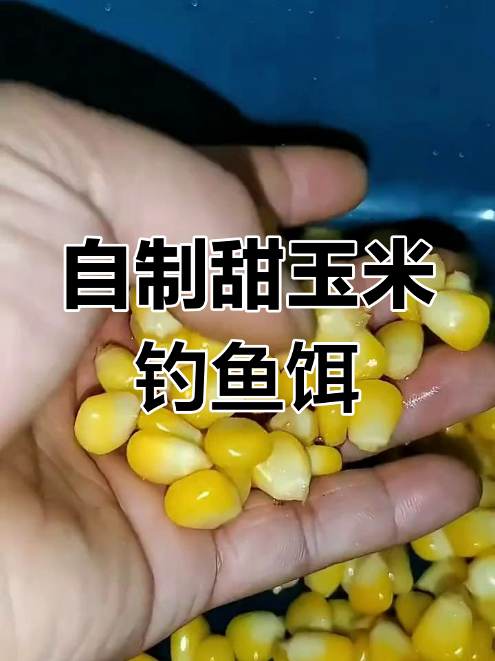 钓小鱼而饵料(钓小鱼饵料那家强) 钓小鱼而饵料(钓小鱼饵料那家强)