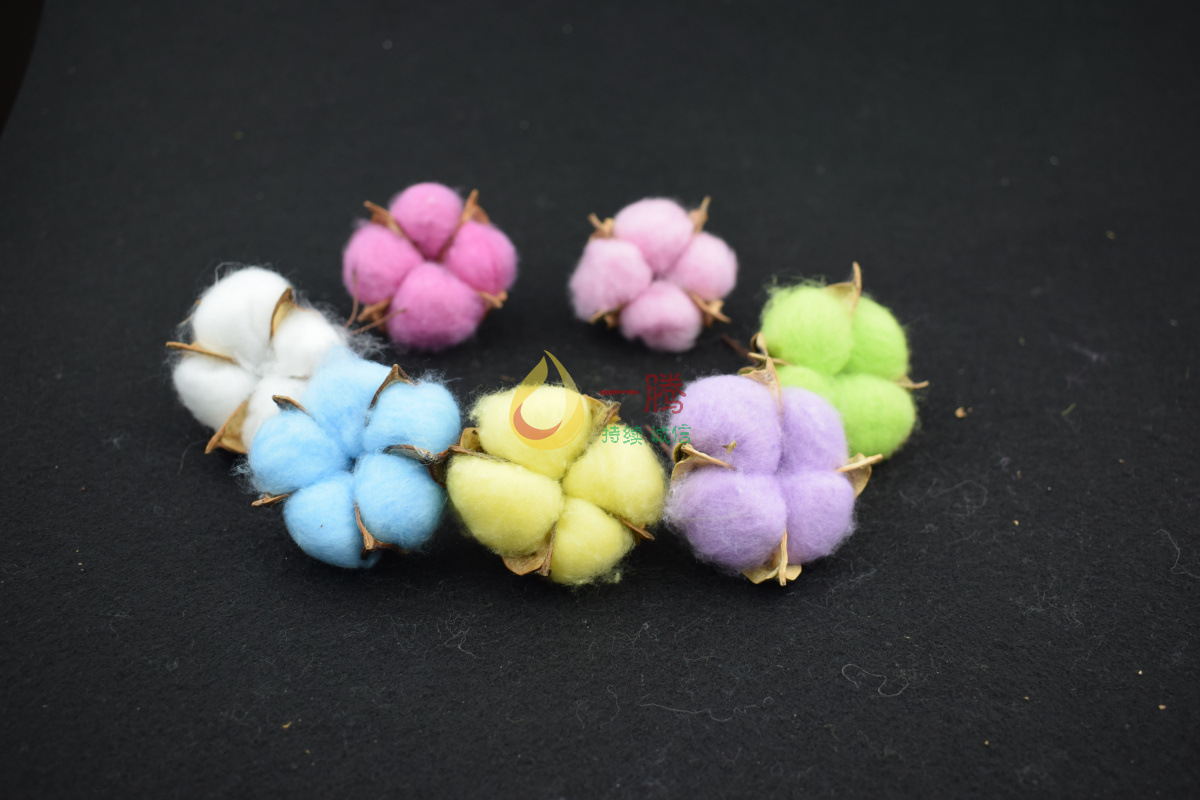 棉花做饵料(棉花蘸什么酱能钓鲫鱼)