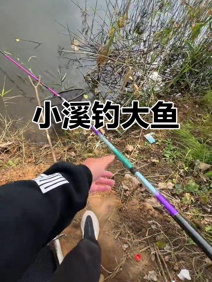 秋季河沟野钓鲫鱼技巧(秋季河沟野钓鲫鱼技巧视频) 秋季河沟野钓鲫鱼技巧(秋季河沟野钓鲫鱼技巧视频)