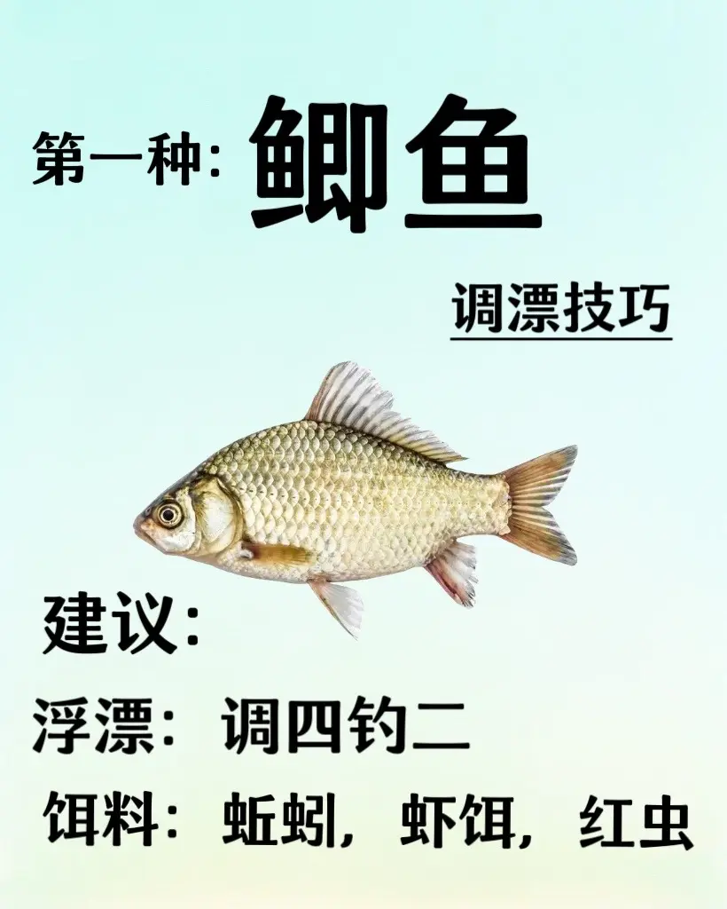钓鱼的技巧浮子(钓鱼的浮怎么使用) 钓鱼的技巧浮子(钓鱼的浮怎么使用)