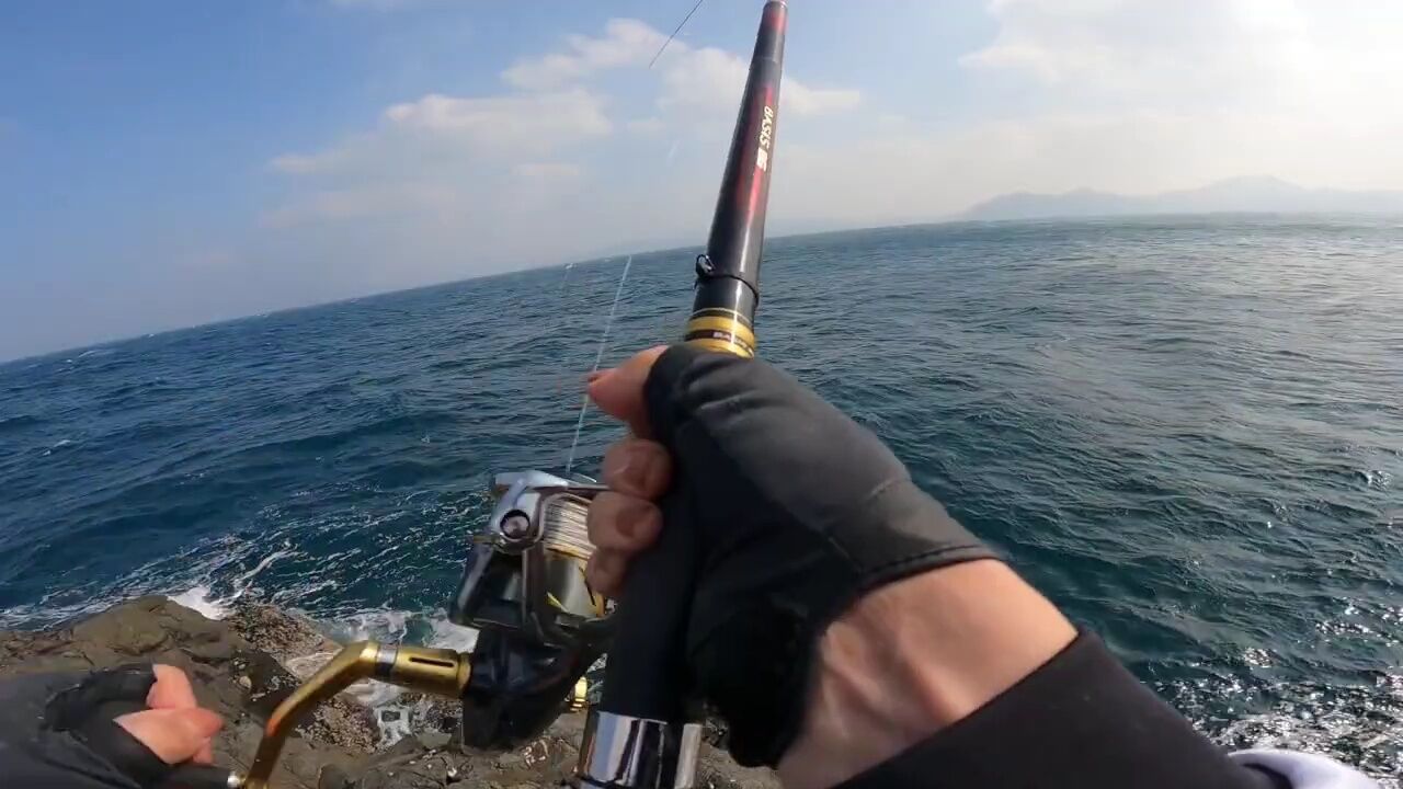 maxel海钓日本钓场(海钓是浮钓还是沉底钓) maxel海钓日本钓场(海钓是浮钓还是沉底钓)