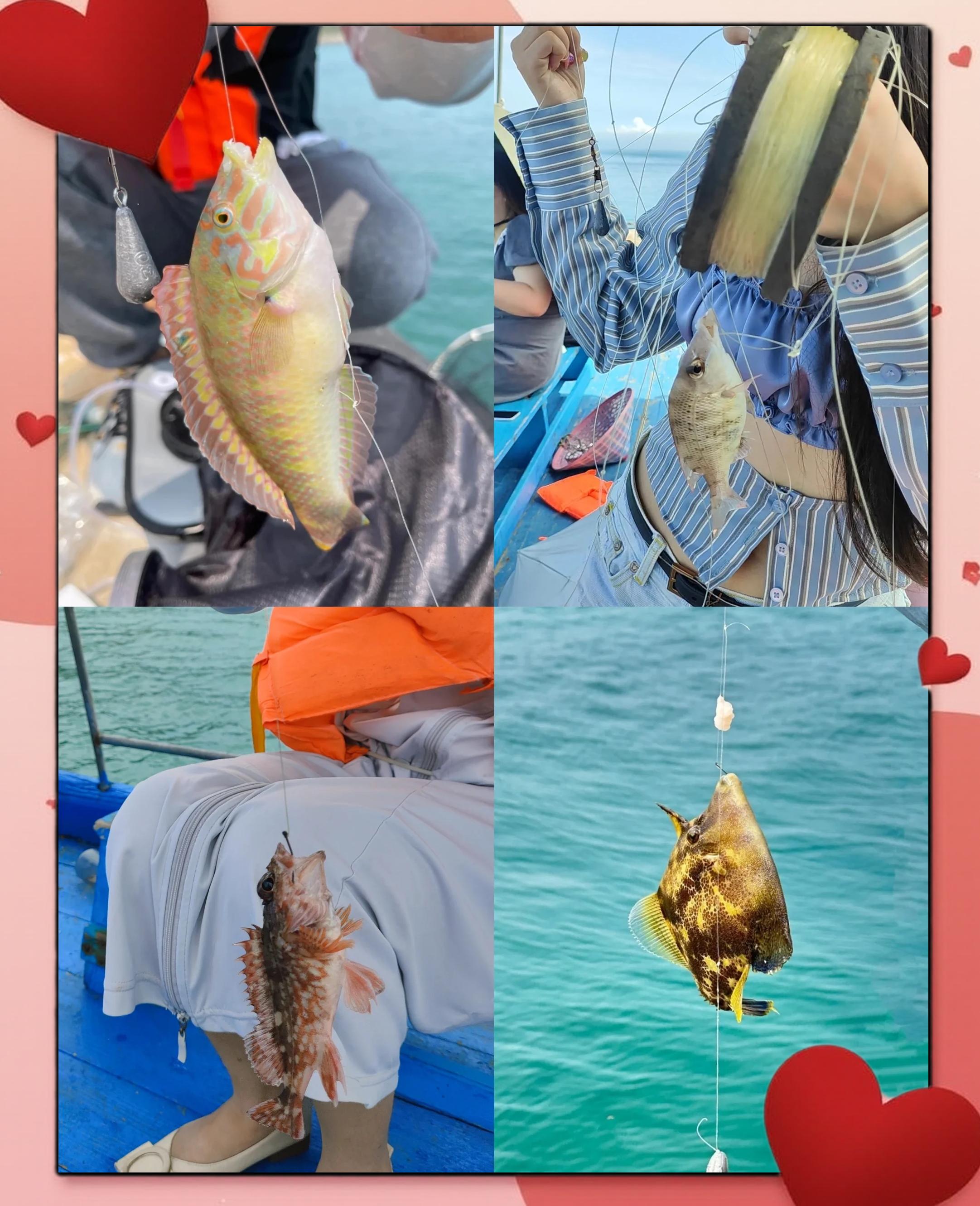 乳山哪海钓(乳山海钓岸钓地点) 乳山哪海钓(乳山海钓岸钓地点)