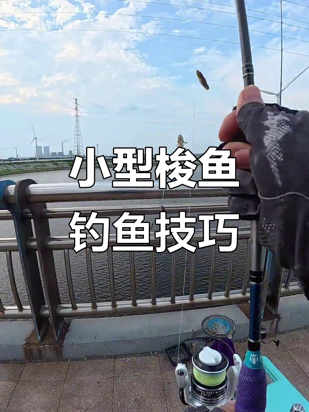 钓梭子鱼饵料(梭子鱼钓法) 钓梭子鱼饵料(梭子鱼钓法)