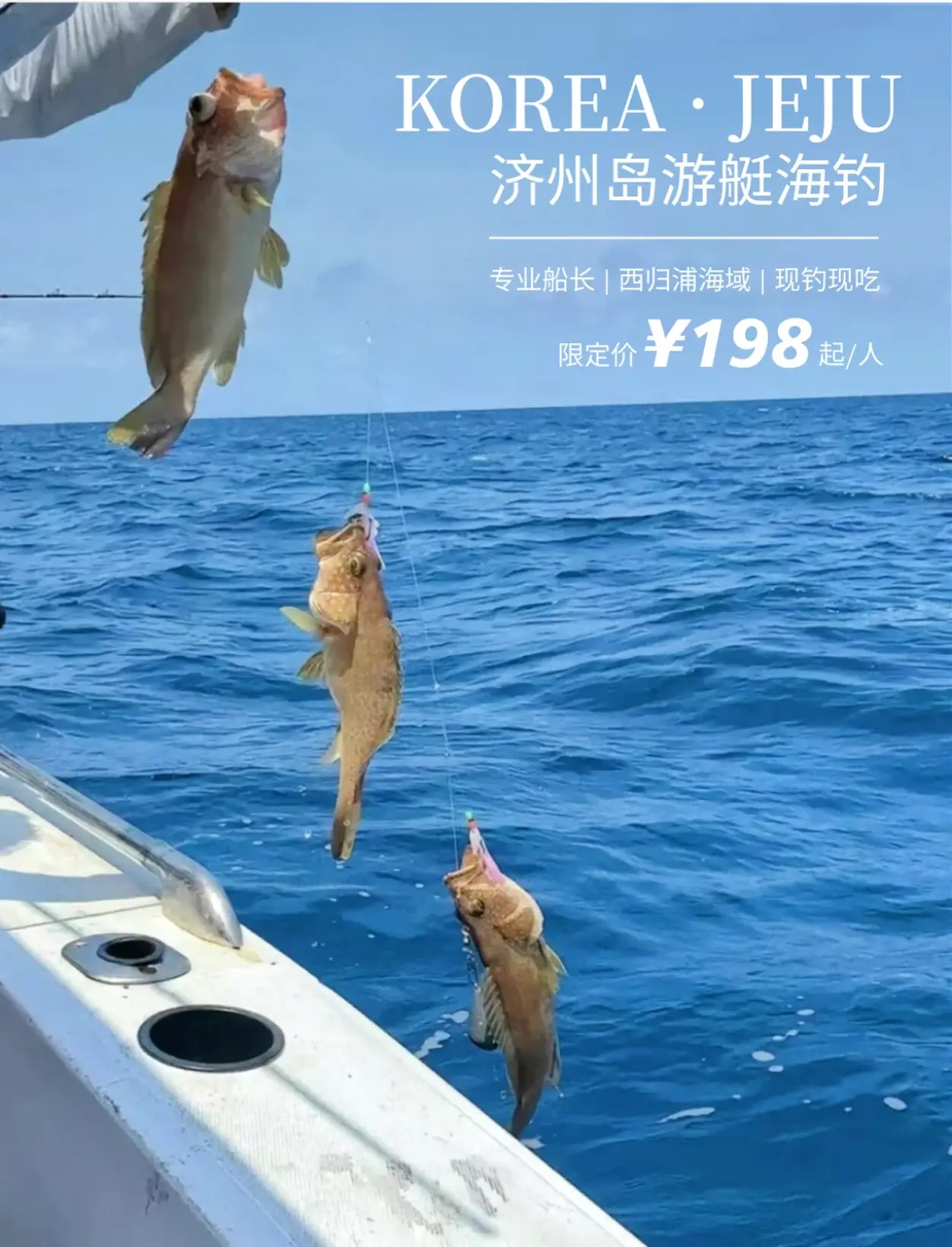 漳浦海钓群(漳浦海钓钓点)