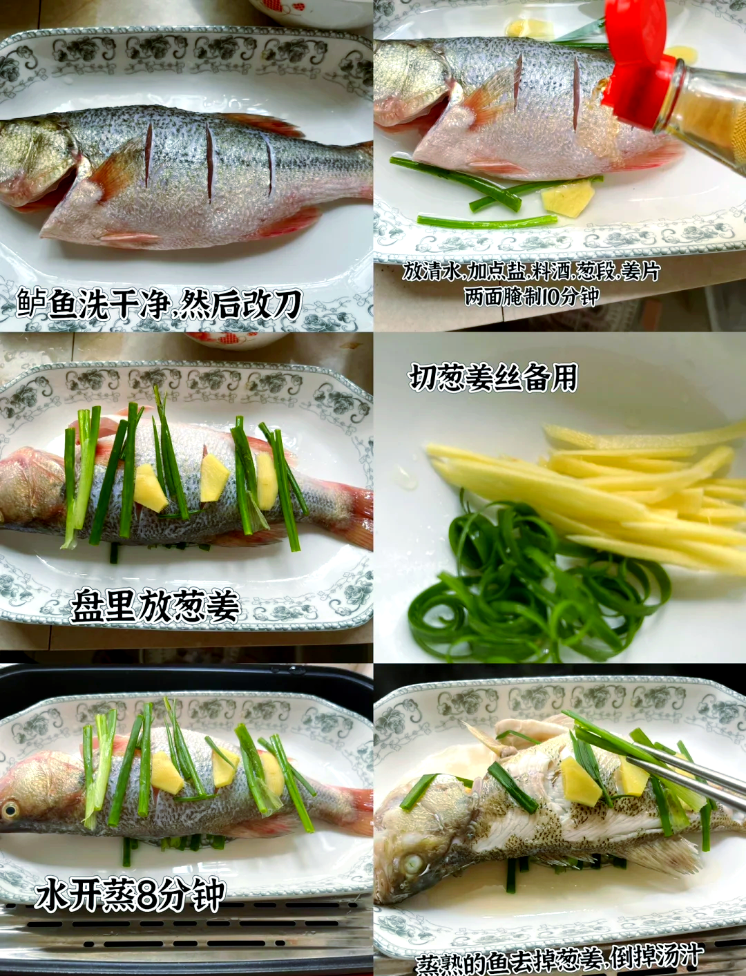 鲈鱼饵料配制(鲈鱼诱饵) 鲈鱼饵料配制(鲈鱼诱饵)