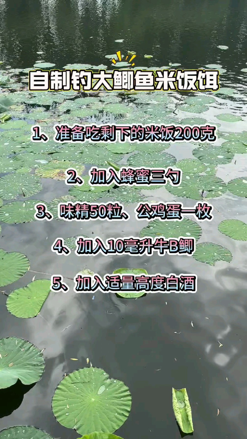 米饭饵料的技巧(米饭饵需要对什么小药)