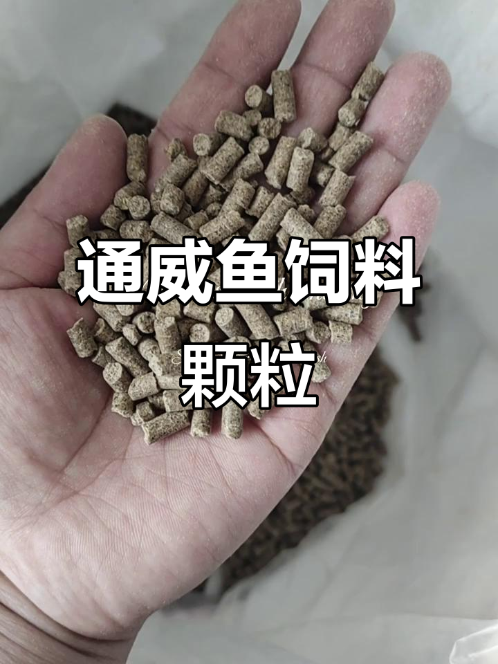 颗粒饲料钓鱼技巧(颗粒料钓鱼效果怎么样) 颗粒饲料钓鱼技巧(颗粒料钓鱼效果怎么样)