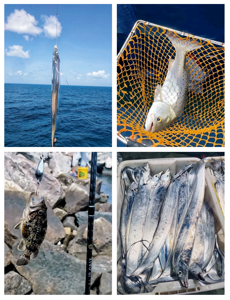 青岛到哪里海钓(青岛海钓一般都能钓到什么鱼) 青岛到哪里海钓(青岛海钓一般都能钓到什么鱼)