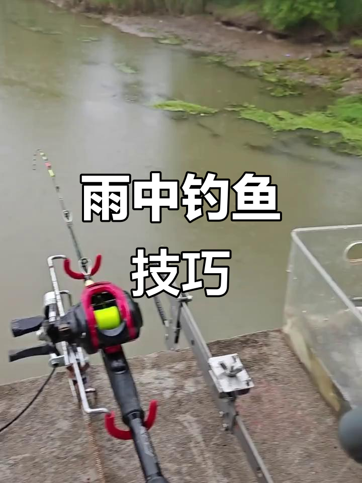 冬天桥筏钓鱼技巧(初冬桥筏钓多深的位置) 冬天桥筏钓鱼技巧(初冬桥筏钓多深的位置)