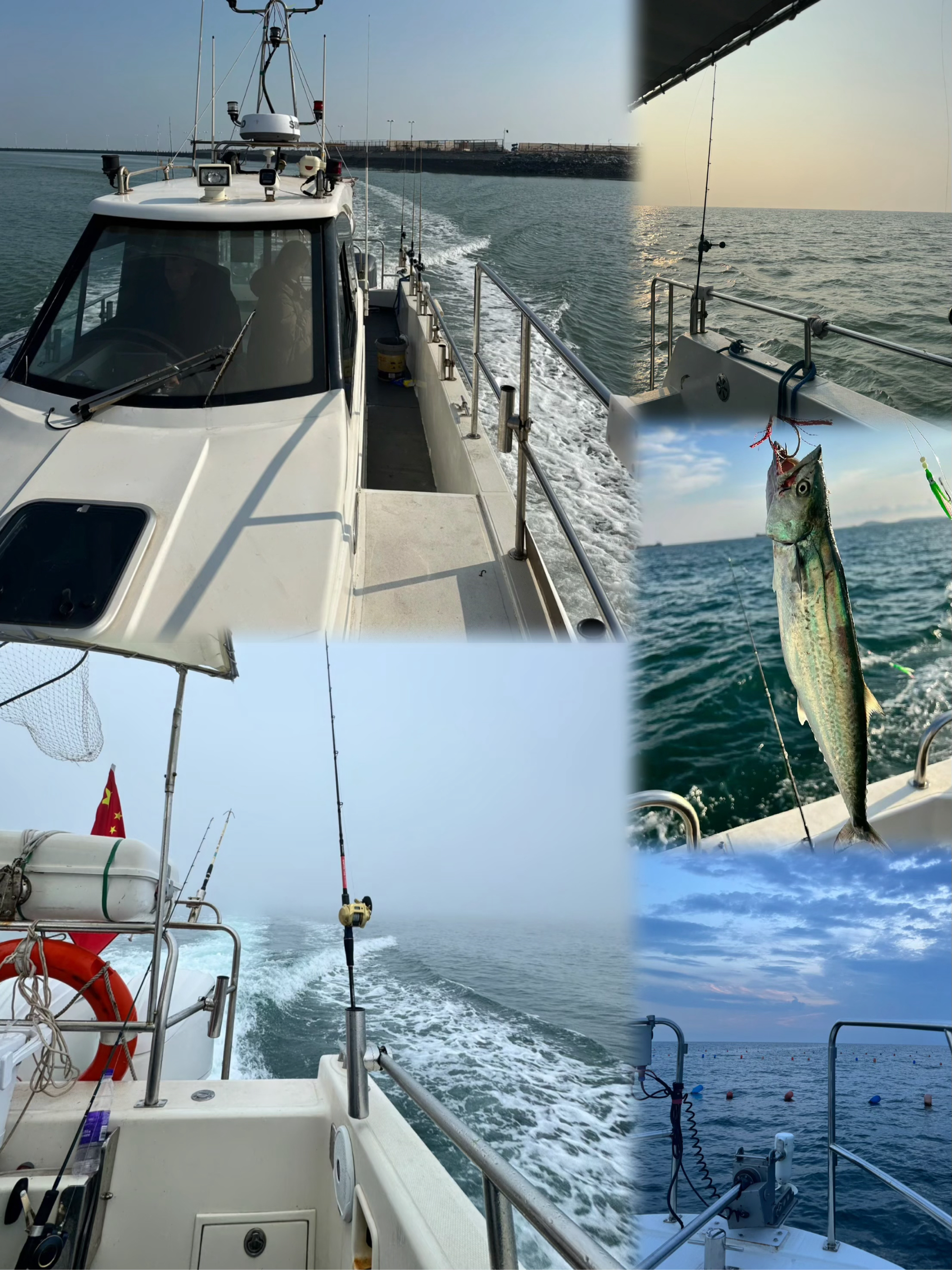 去深海海钓费用多少(深海海钓多少钱)