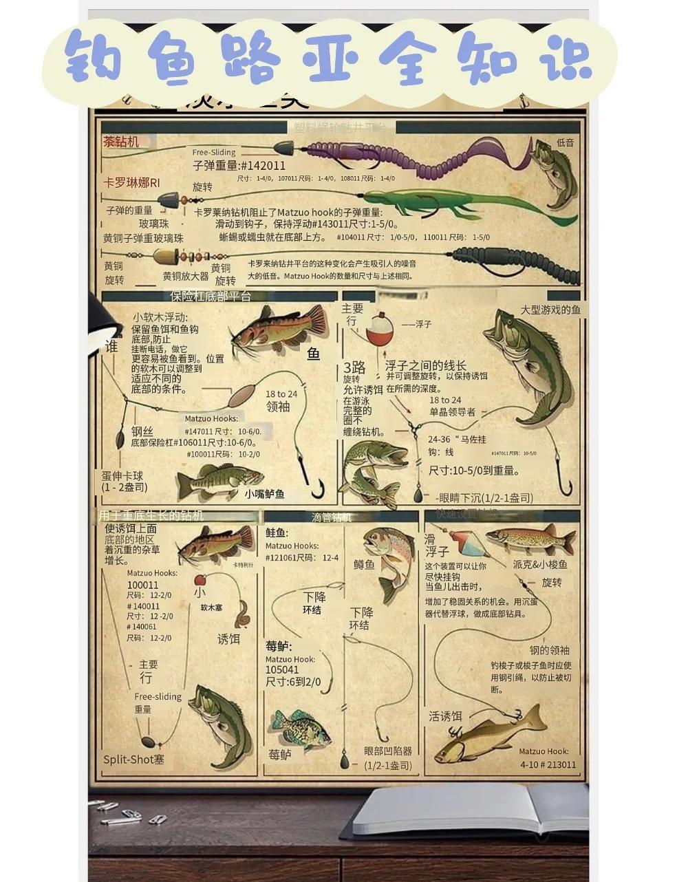 路亚入门教程(路亚钓法入门教程视频) 路亚入门教程(路亚钓法入门教程视频)