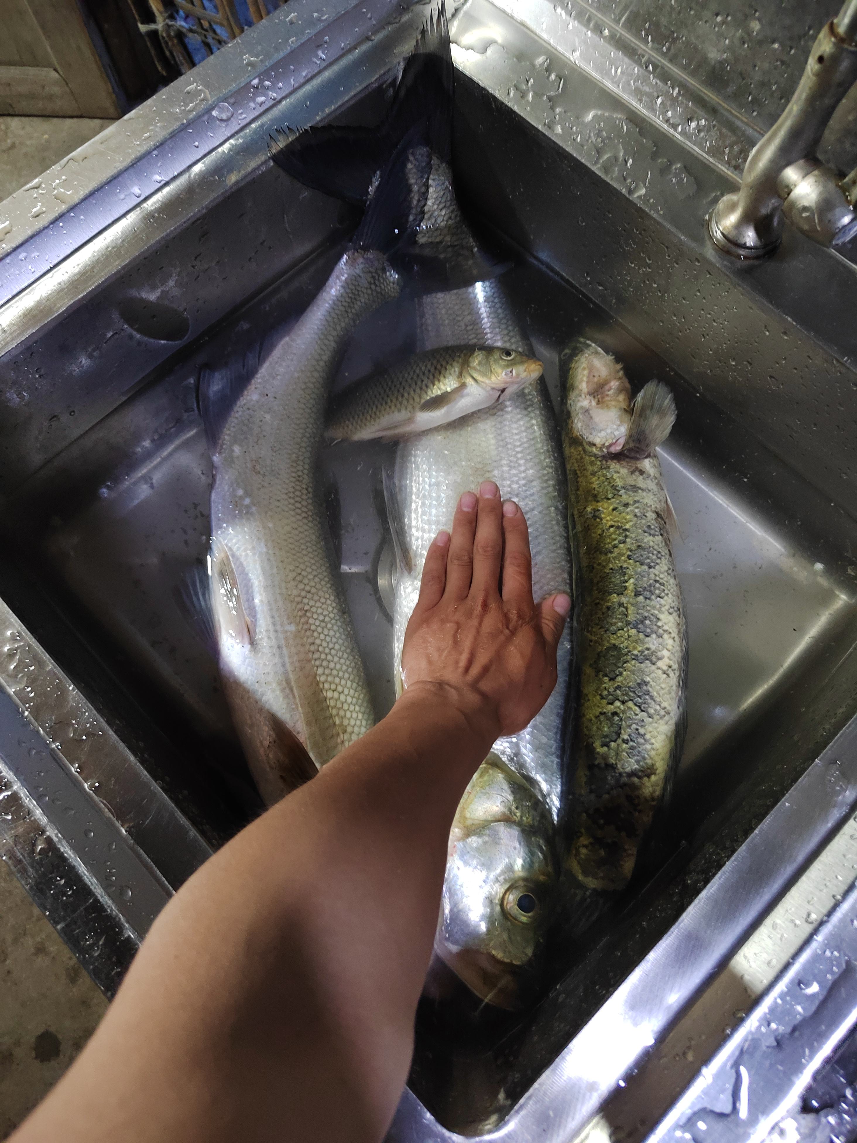 汉江路亚(汉江路亚有哪些标点) 汉江路亚(汉江路亚有哪些标点)