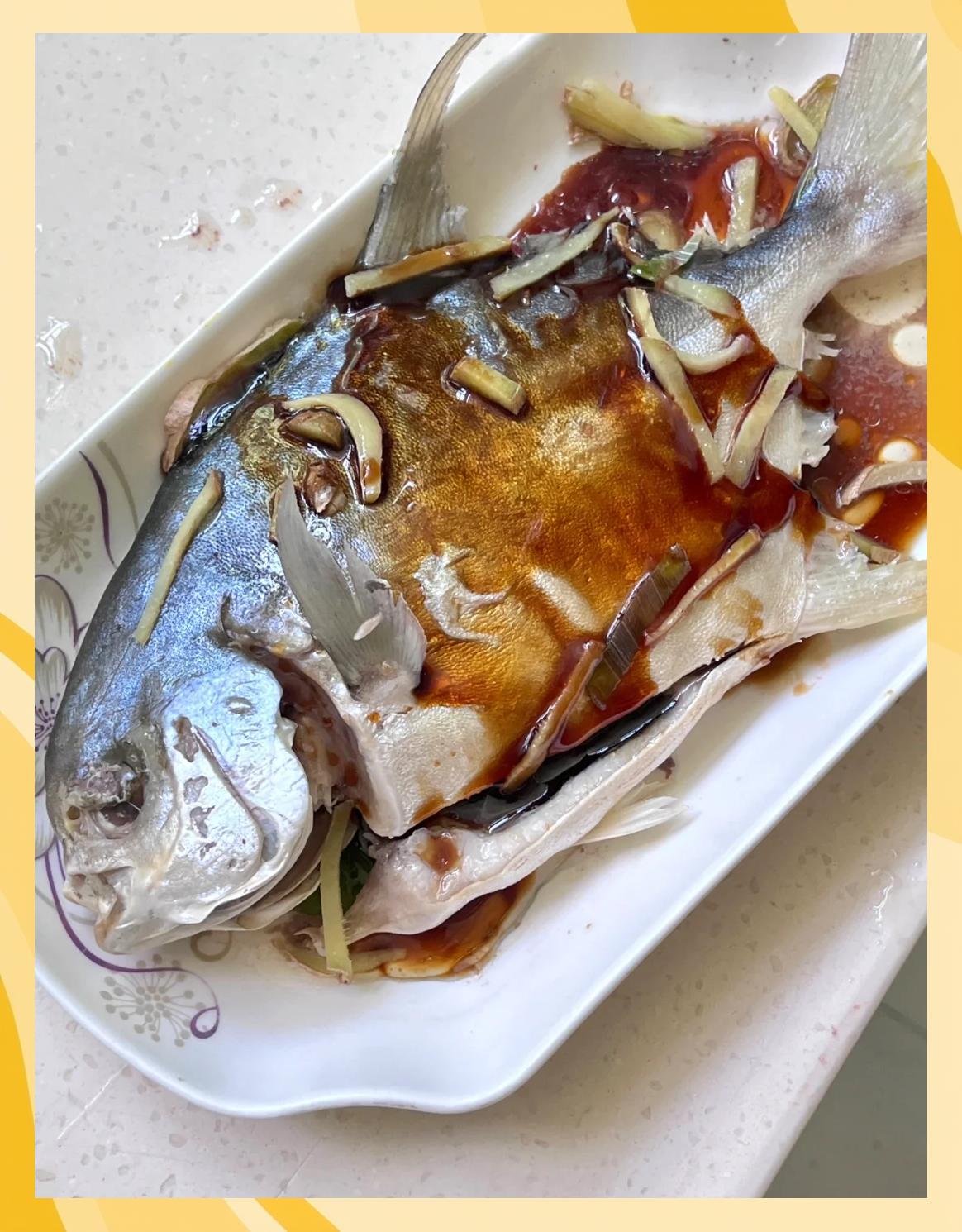 如何海钓金鲳鱼(海钓金鲳鱼视频)