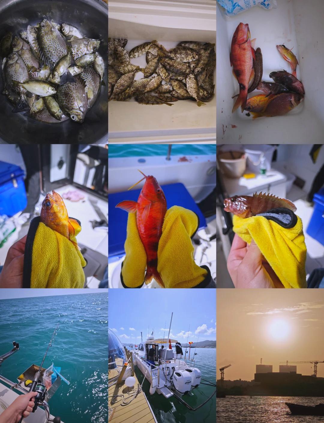 远海钓鱼点坐标(远海海钓) 远海钓鱼点坐标(远海海钓)