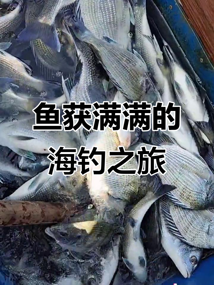 海钓钓料(海钓饵料推荐) 海钓钓料(海钓饵料推荐)