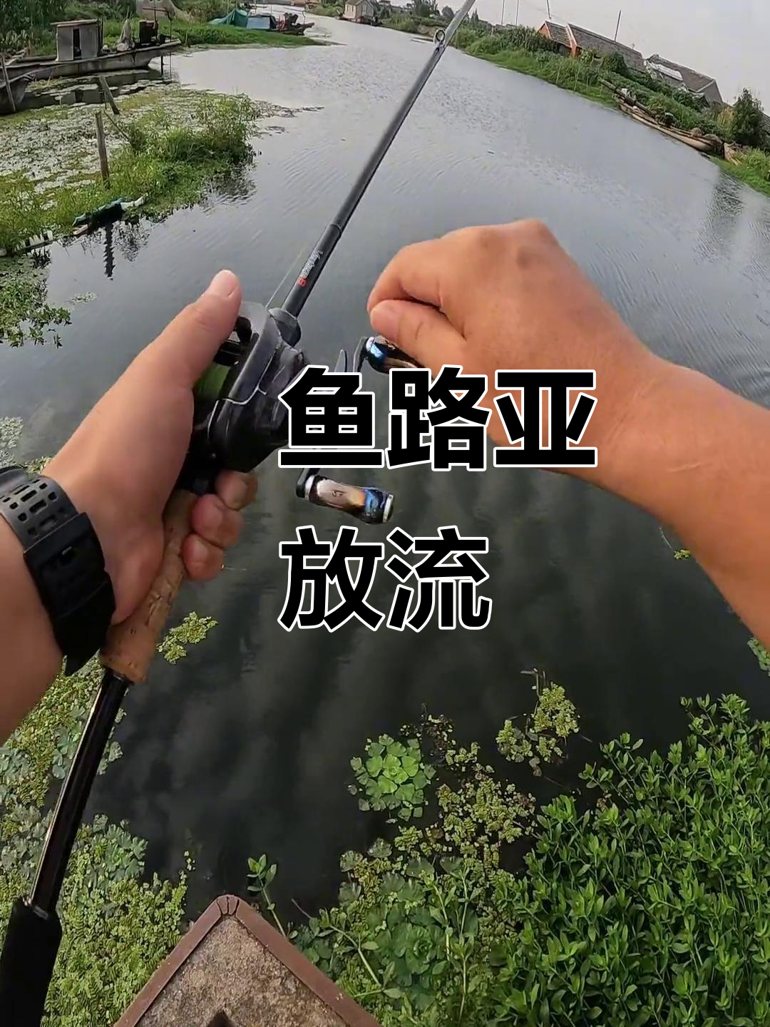 路亚鲻鱼怎么钓(路亚鳡鱼钓法) 路亚鲻鱼怎么钓(路亚鳡鱼钓法)