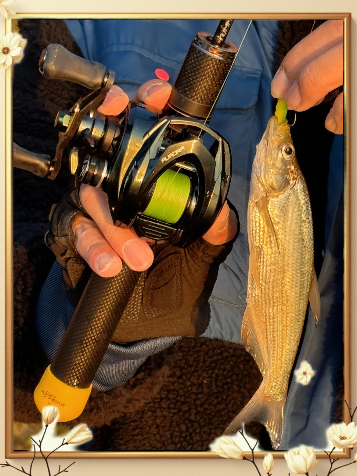 移动钓路亚(安卓路亚钓鱼游戏) 移动钓路亚(安卓路亚钓鱼游戏)