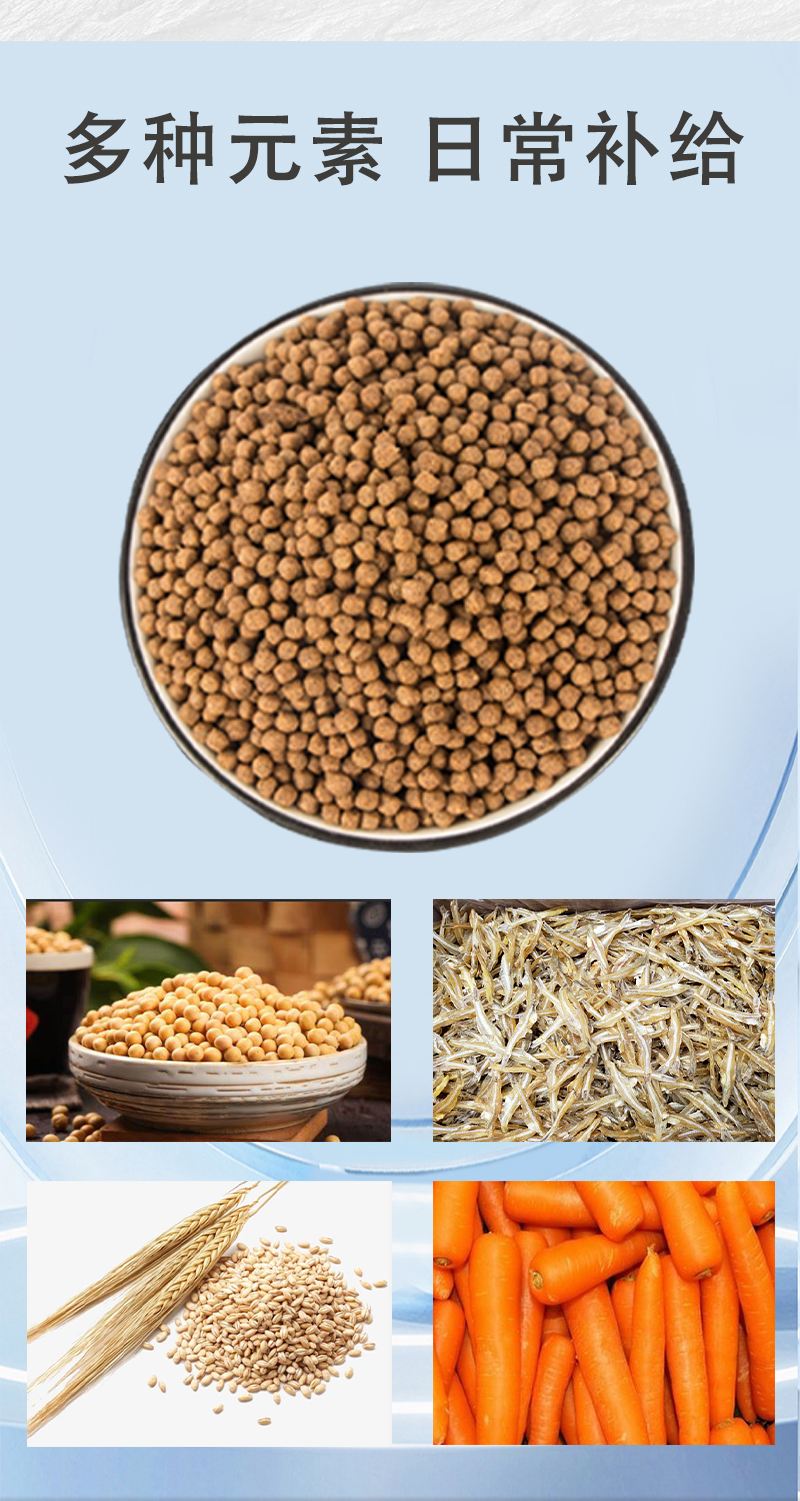 通威153饵料(通威153颗粒粉钓黑坑鲤鱼) 通威153饵料(通威153颗粒粉钓黑坑鲤鱼)