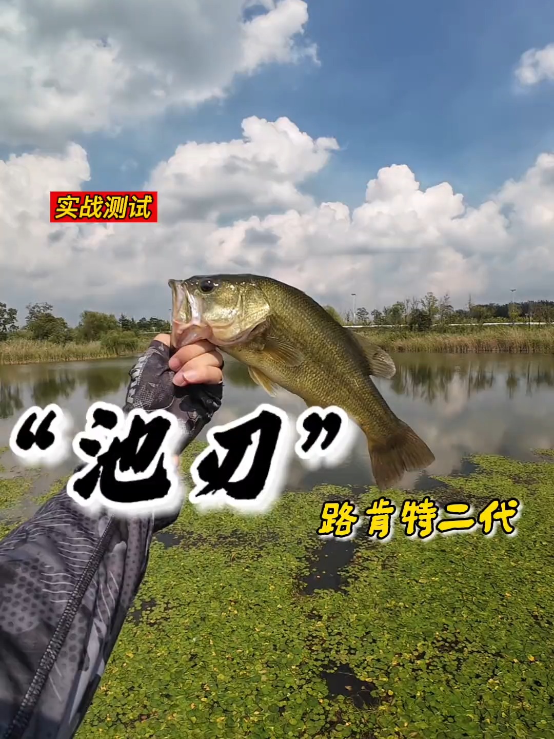 新手路亚鲈鱼(路亚鲈鱼的最佳饵料) 新手路亚鲈鱼(路亚鲈鱼的最佳饵料)