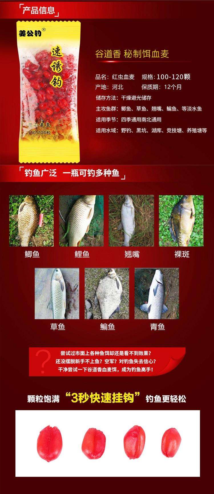 小麦饵料钓鱼视频(小麦饵料钓什么鱼) 小麦饵料钓鱼视频(小麦饵料钓什么鱼)