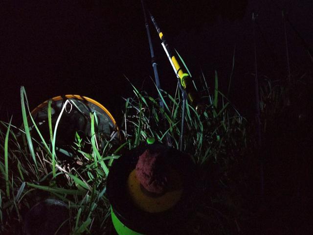 晚上夜钓鱼技巧视频大全(晚上钓鱼视频野钓实战) 晚上夜钓鱼技巧视频大全(晚上钓鱼视频野钓实战)