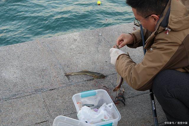 洲山群岛海钓(涠洲岛海钓最佳地点及攻略) 洲山群岛海钓(涠洲岛海钓最佳地点及攻略)